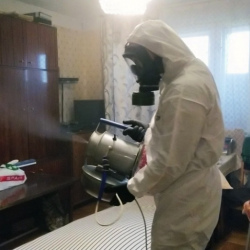 Дезинфекция от клопов в Сестрорецке